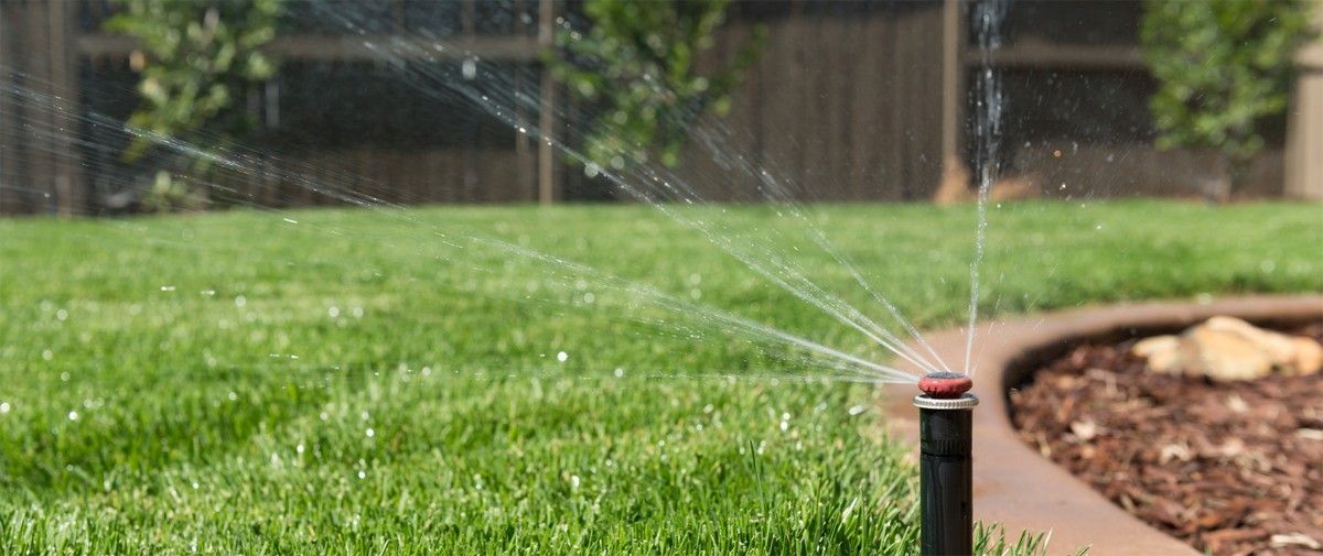 A sprinkler is spraying water on a lush green lawn.