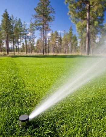 A sprinkler spraying water on a lush green field