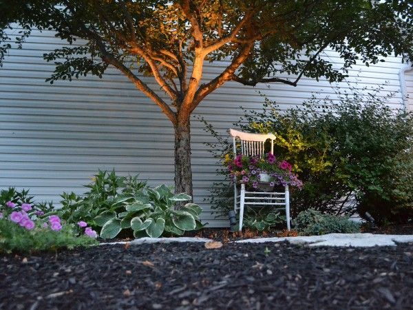 A white chair is sitting under a tree in front of a house