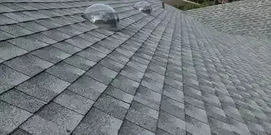 Gray asphalt shingle roof with three clear dome vents.