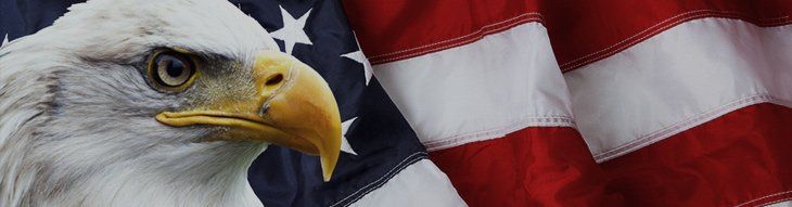 USA flag and bald eagle
