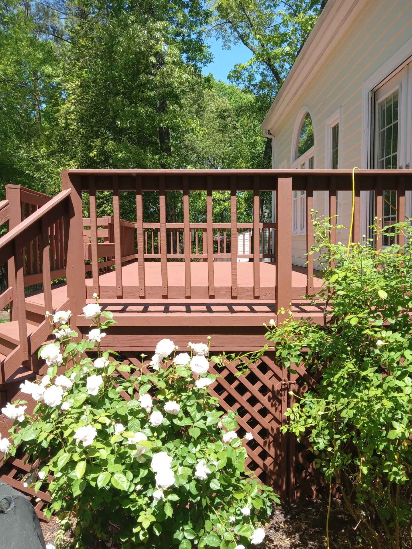 Wooden deck with brown railing and lattice, white flowers in foreground, trees in background, sunny day.