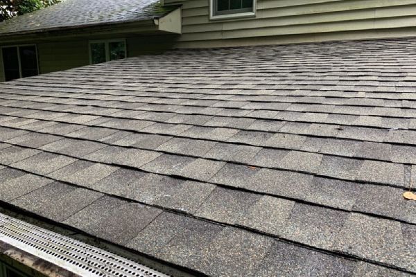 Close-up of a brown asphalt shingle roof with a gutter in the foreground and a house in the background.