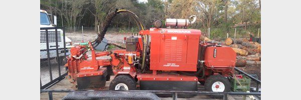 Stump grinding