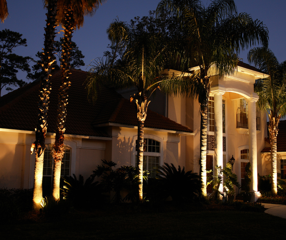 A house with palm trees in front of it is lit up at night