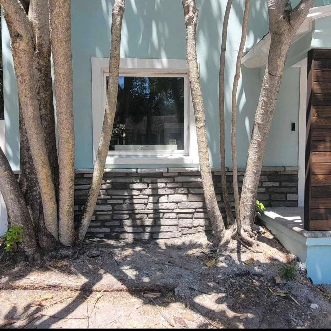 A house with trees in front of it and a window