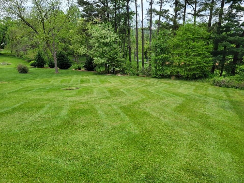 A lush green lawn with trees in the background.