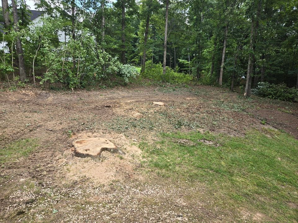 A large tree stump in the middle of a grassy field surrounded by trees.