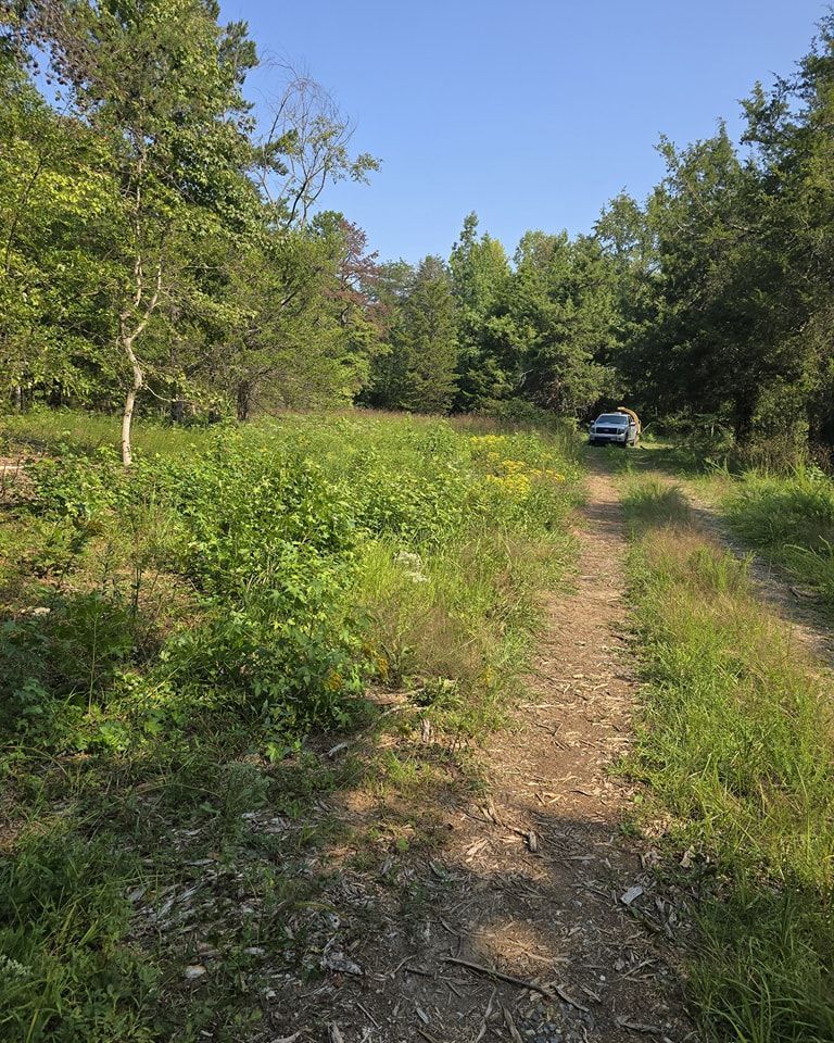 A dirt road going through a grassy field with trees on both sides.