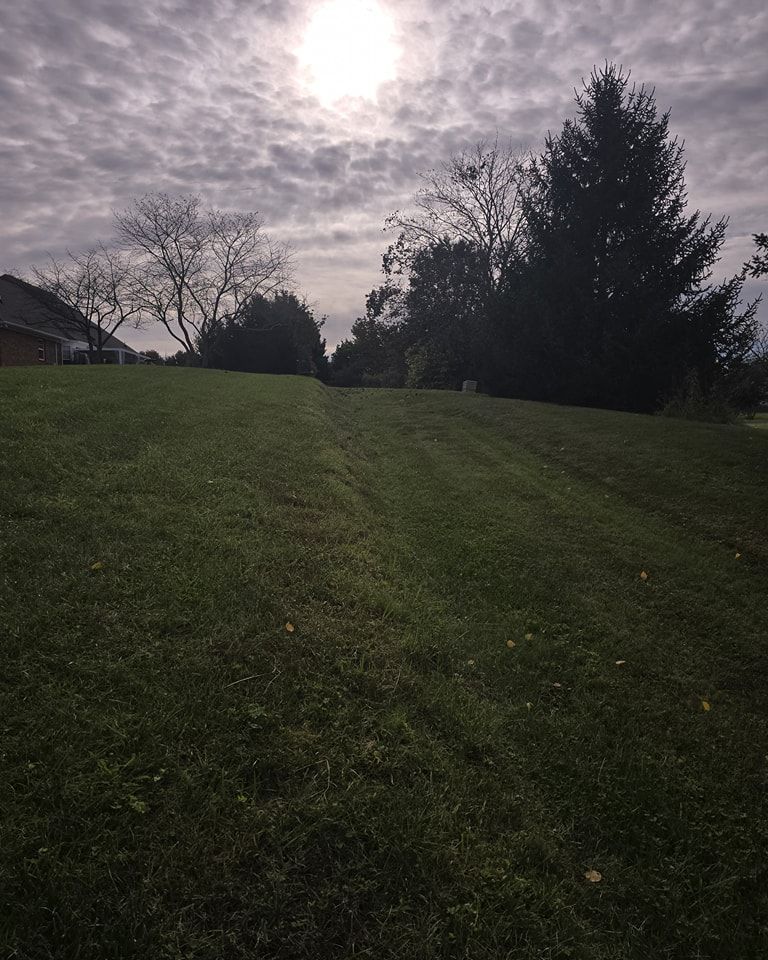A lush green field with trees in the background and the sun shining through the clouds