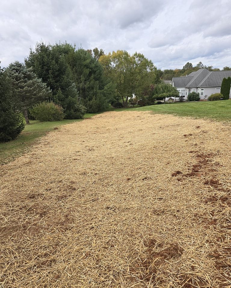 A large field with trees and a house in the background