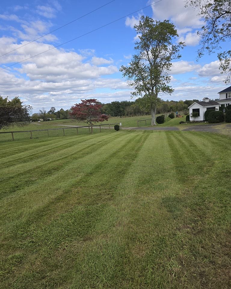 A lush green lawn with a house in the background.