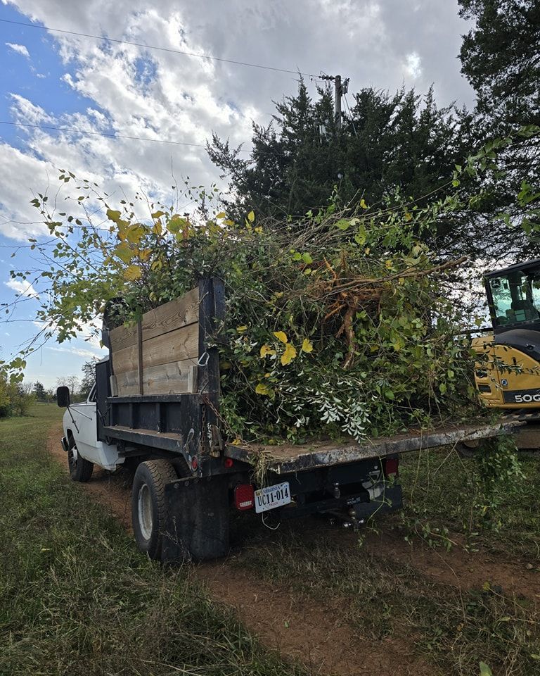 A dump truck filled with branches and leaves is parked in a field.