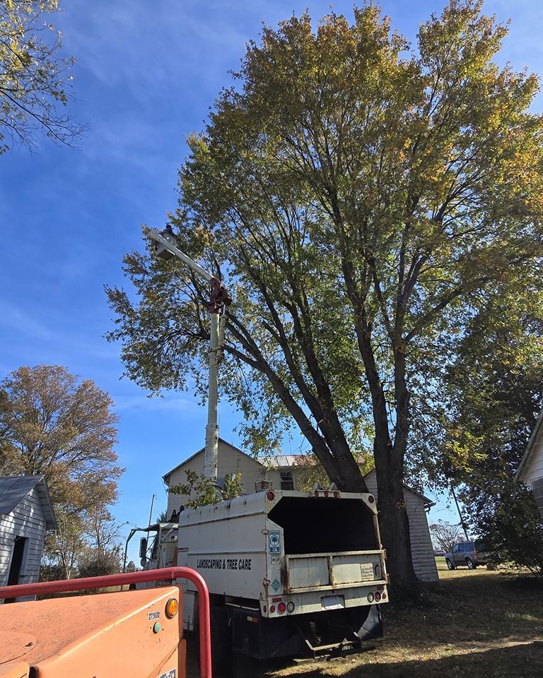 A tree cutting truck is parked in front of a house