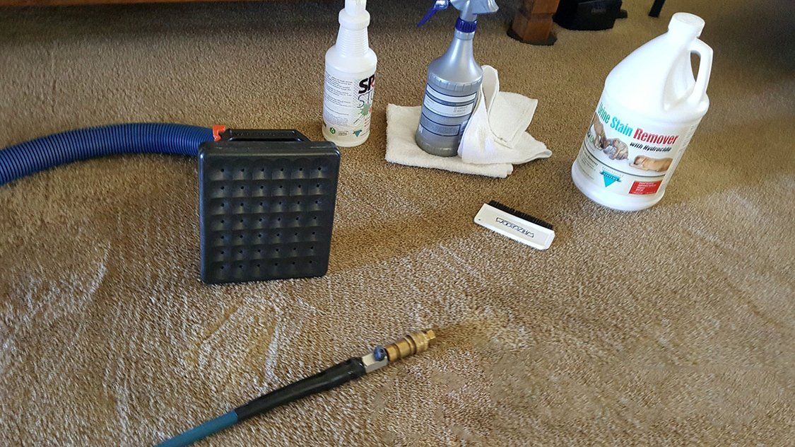 Carpet Cleaning Grand Junction CO Bob's Carpet & Tile Care