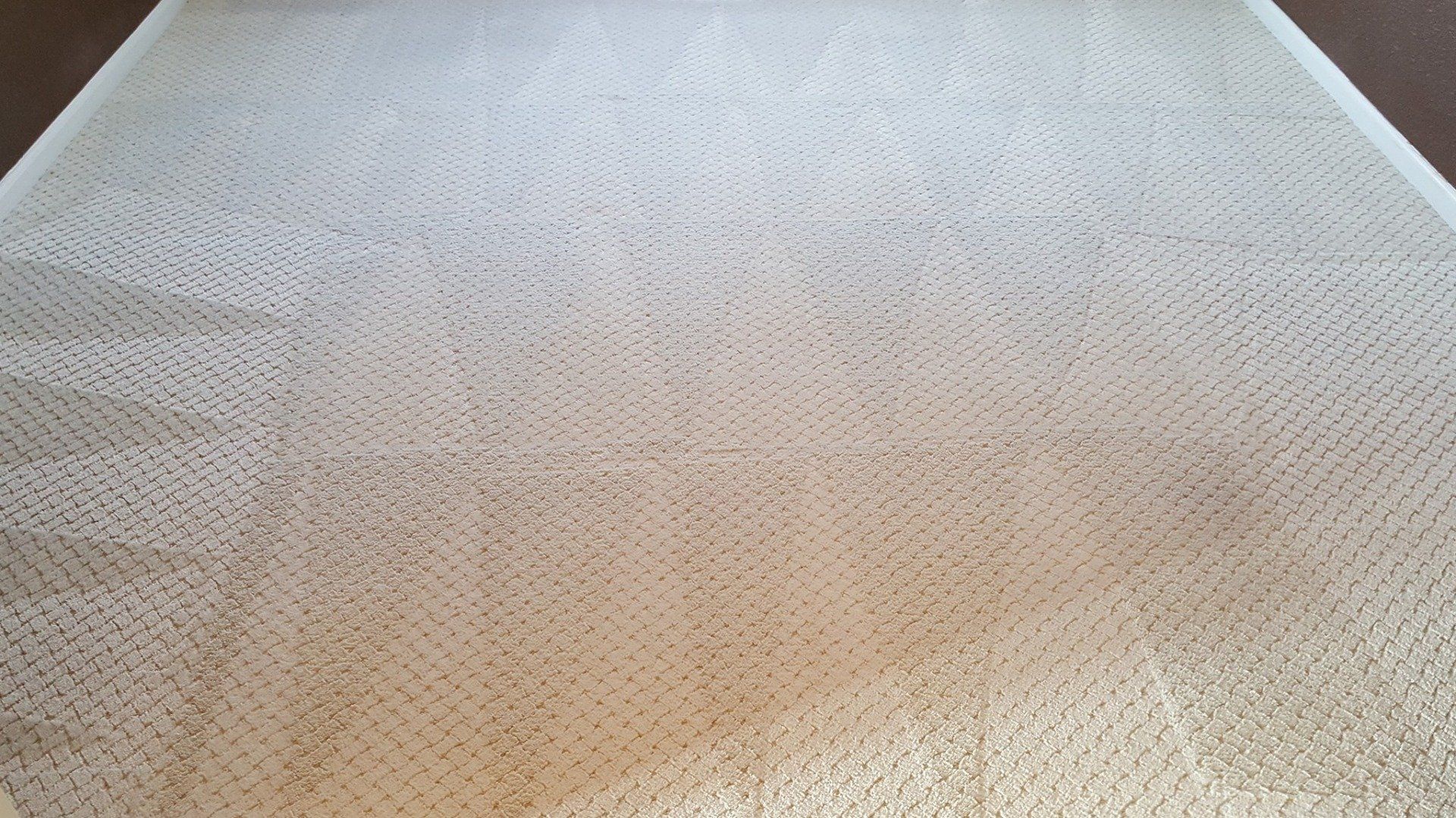 Carpet Cleaning Grand Junction CO Bob's Carpet & Tile Care