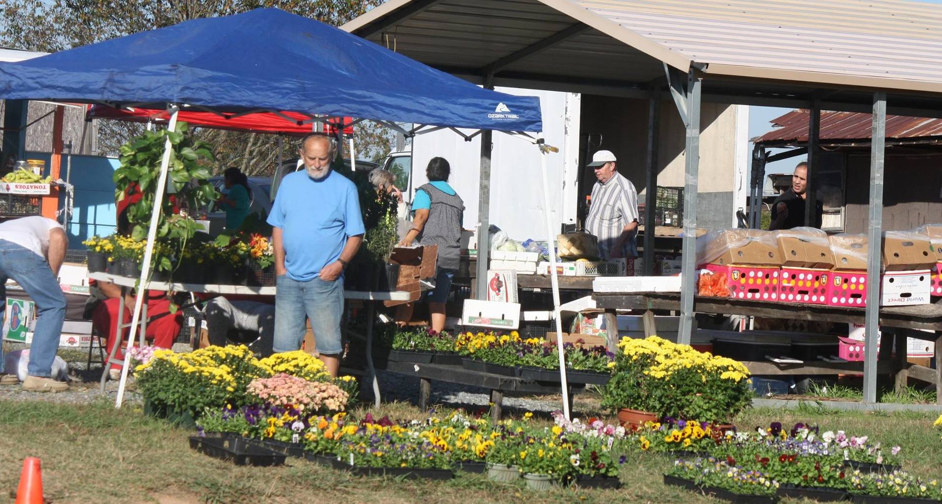 Wholesale Alley Inc Crafts and Food Lexington, NC