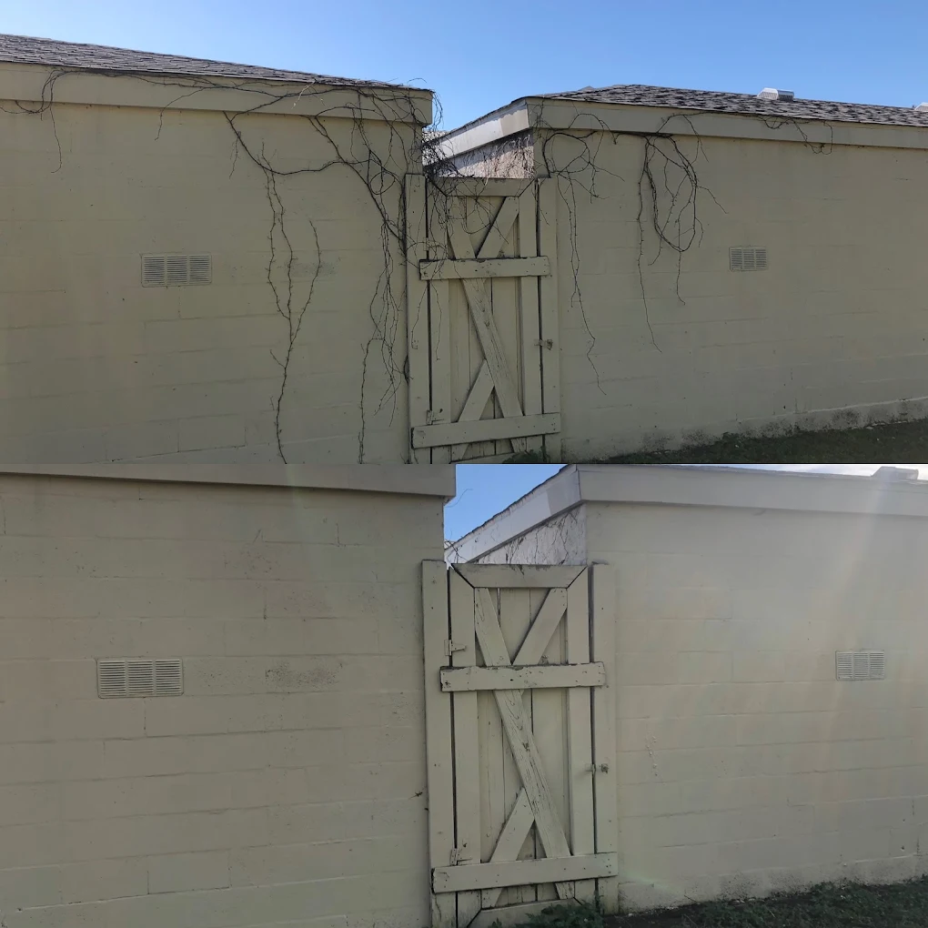 Damaged white building walls split by a narrow vertical gap, with cracked edges and a cross-braced support column.