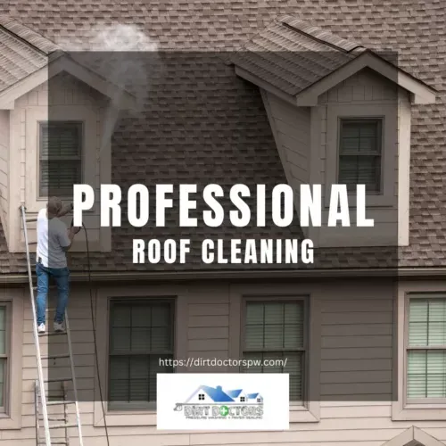 Professional roof cleaning ad with worker on ladder spraying beige house roof.