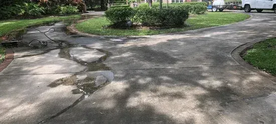Cracked concrete driveway curving through a green suburban yard with trees and dappled shade