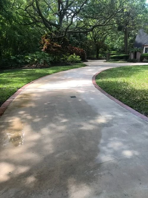 Curved concrete walkway through a green park with trees and sunlight shadows