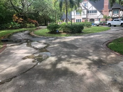 Curved driveway in a leafy residential neighborhood with a house and parked cars in the background.