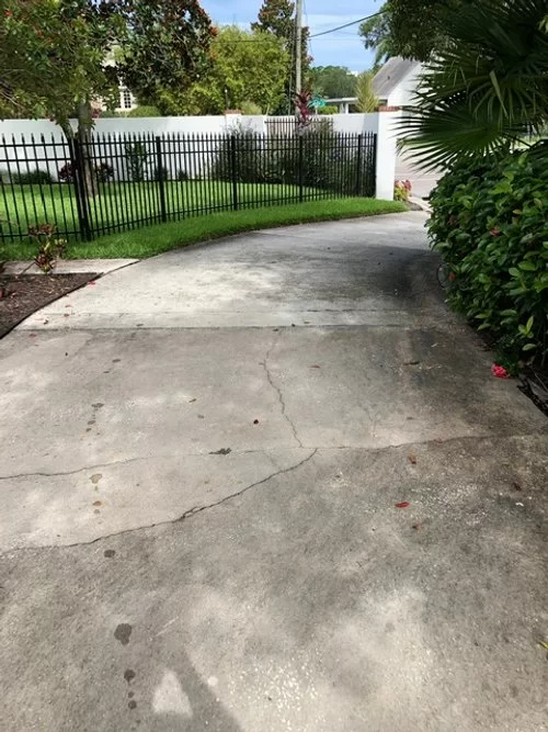 Curved concrete driveway leading to a black metal gate, bordered by green shrubs and palm trees.