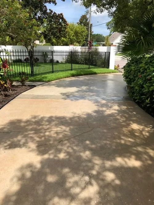 Curved concrete driveway beside black fence and green shrubs, with tree shadows on the ground