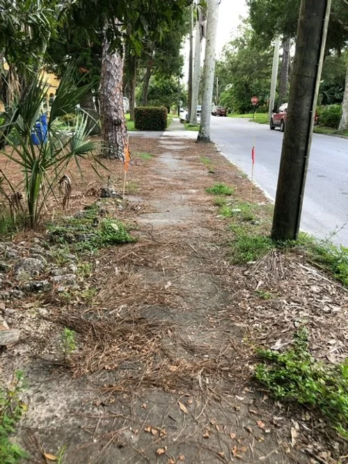 Narrow dirt sidewalk beside a road, lined with trees and greenery.