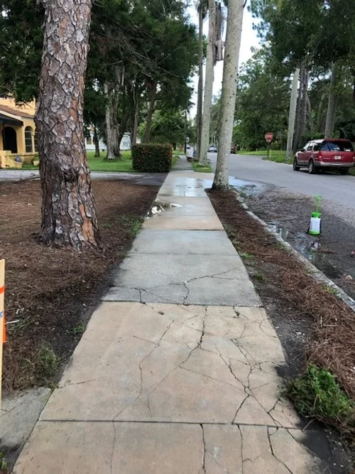Cracked sidewalk along a tree-lined street with parked cars and a wet path after rain