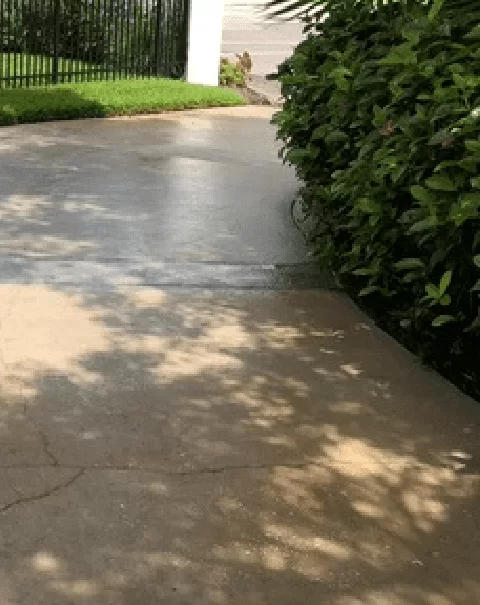 Shaded concrete driveway beside green hedges and a white fence near a house entrance