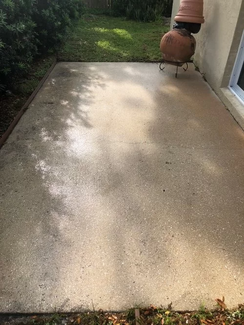 Sunny concrete patio beside a house, with a terracotta planter at the edge.