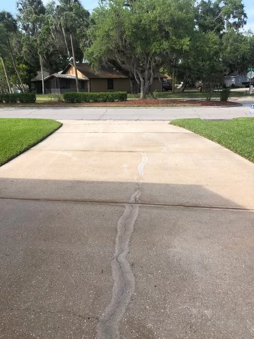 Cracked concrete driveway leading to a tree-lined suburban street and house