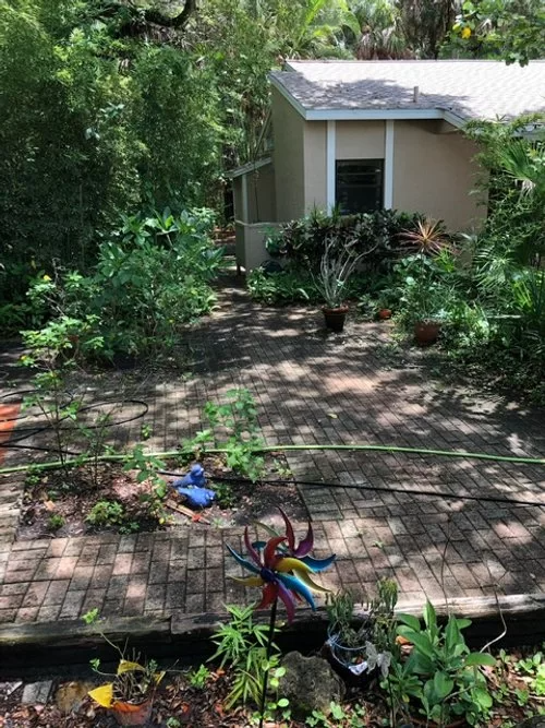 Brick patio garden with lush greenery and a small beige shed in the background