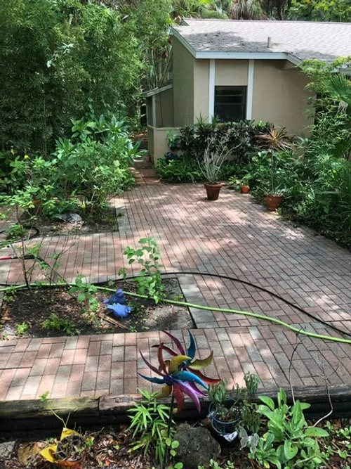Brick patio path leading to a small house, surrounded by lush green plants and a colorful pinwheel