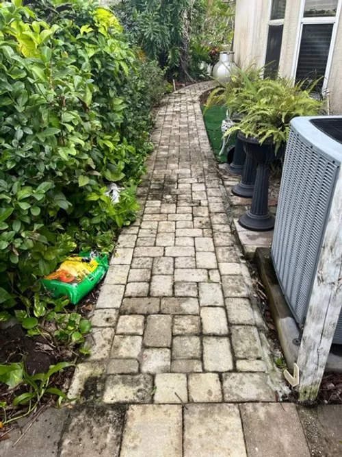 Narrow stone garden path beside lush greenery and potted plants, with a white fence on the right.