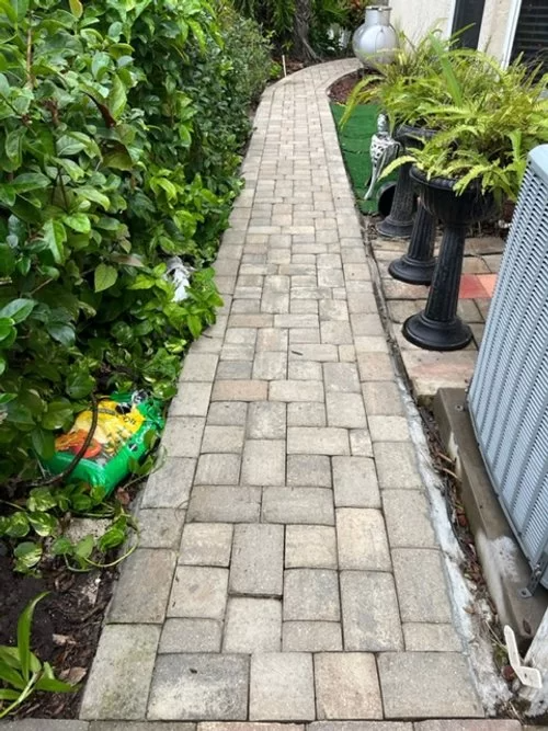 Narrow brick pathway bordered by lush green plants and black planters beside a corrugated wall