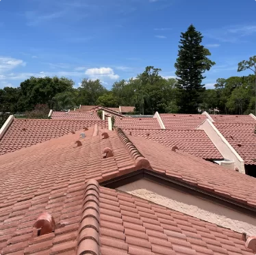 Red tiled rooftops under a clear blue sky, with trees in the background.