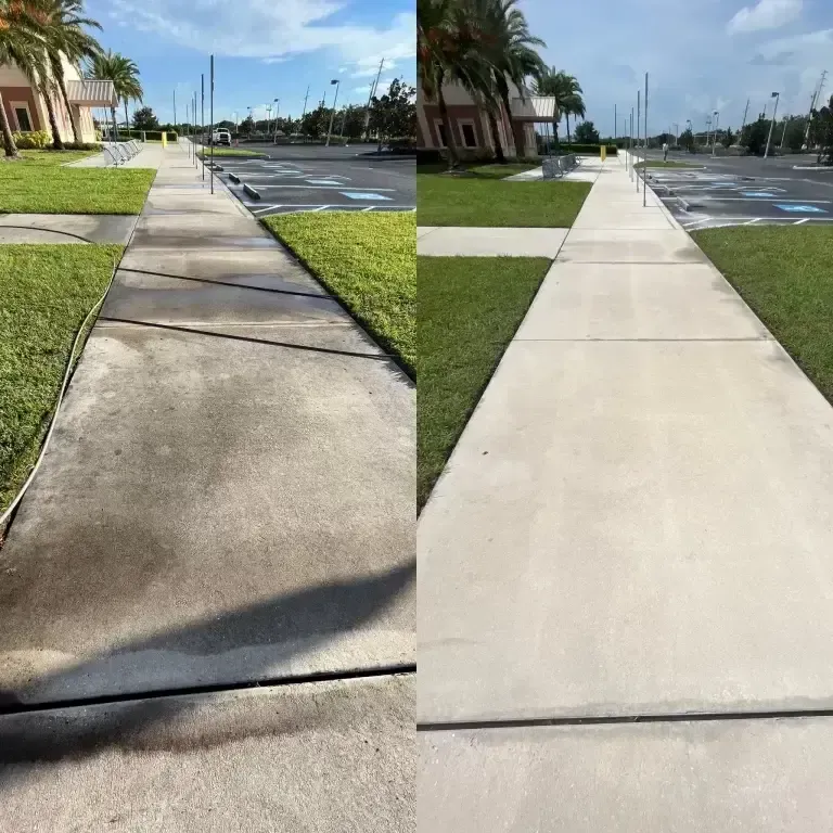Sidewalk by a grassy parking lot with cracked concrete and palm trees in the background