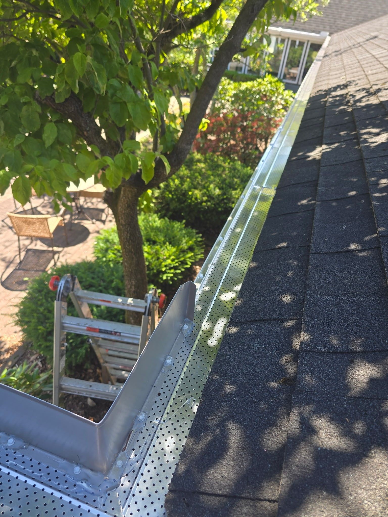 Gutter and roof edge beside a tree and garden, with a ladder below in sunlight and shade