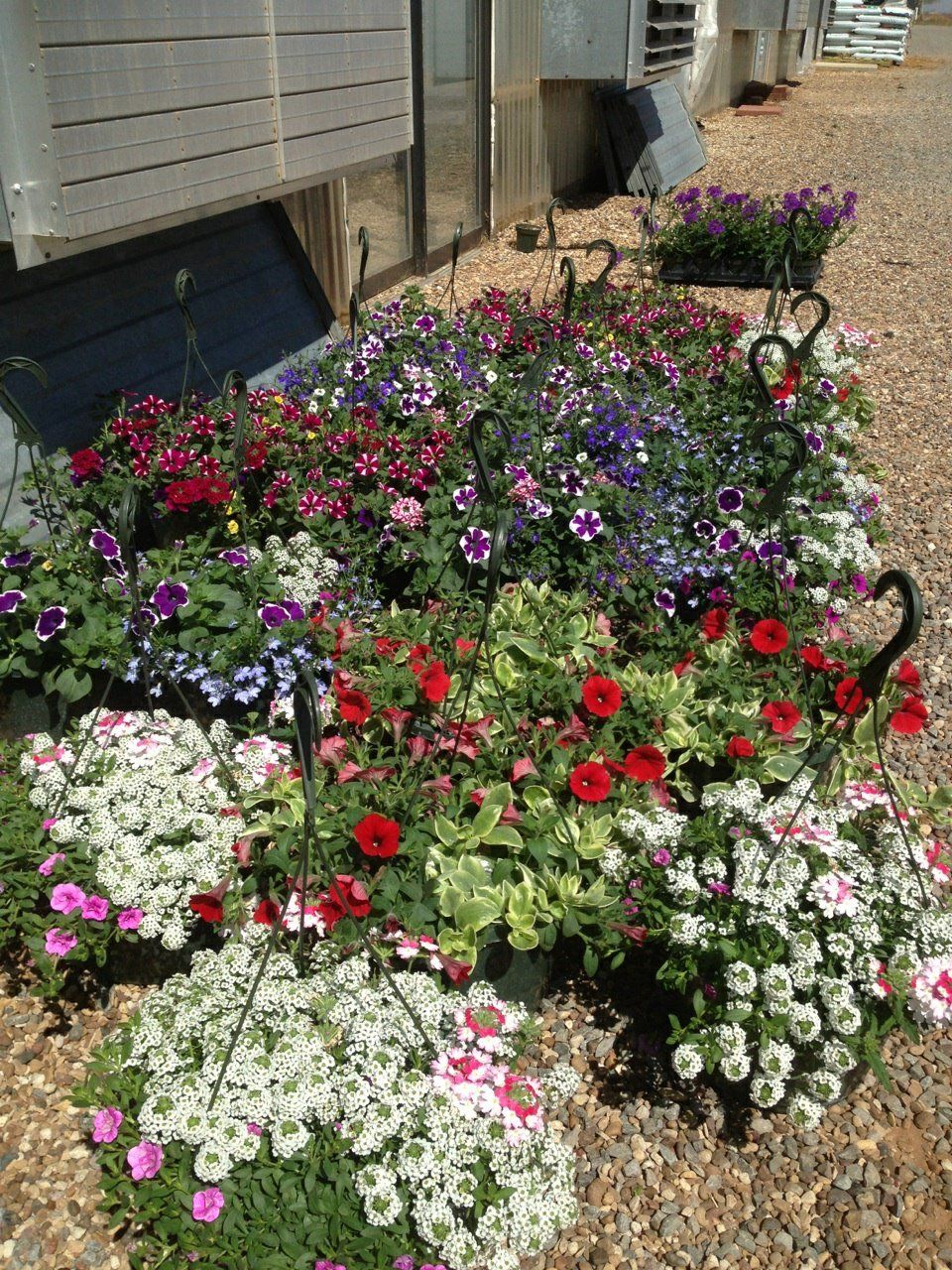 landscaping services