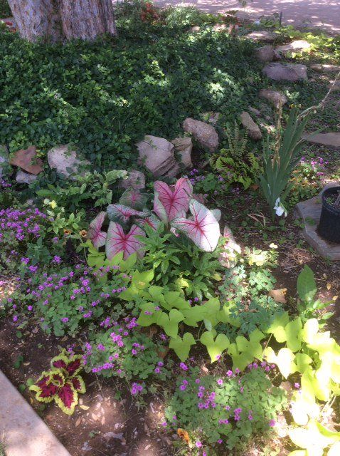 landscaping services