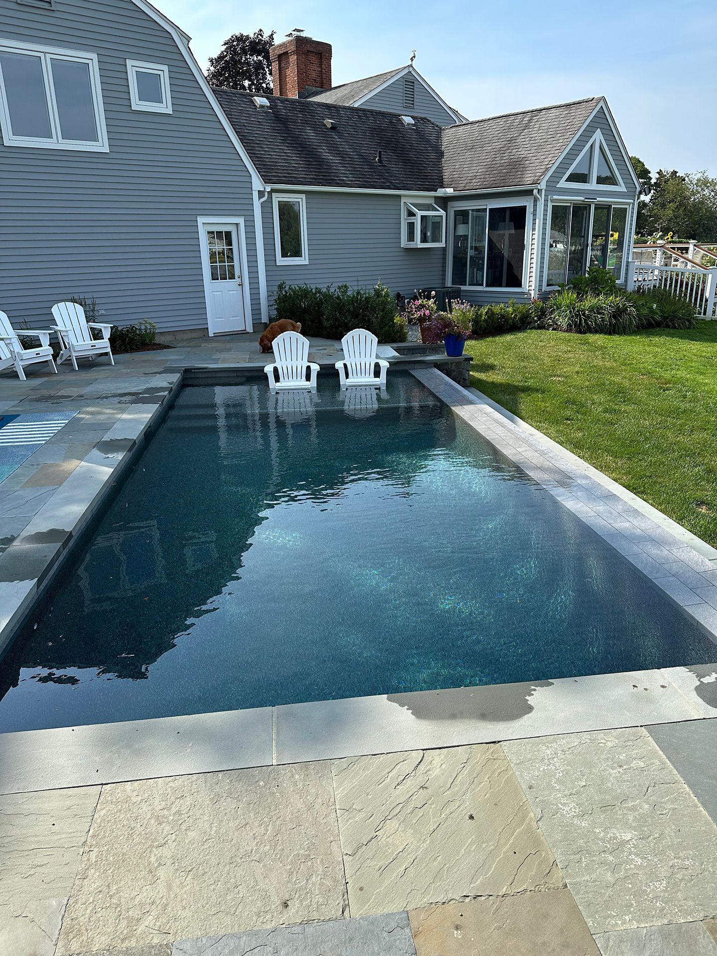 A large swimming pool is in the backyard of a house.