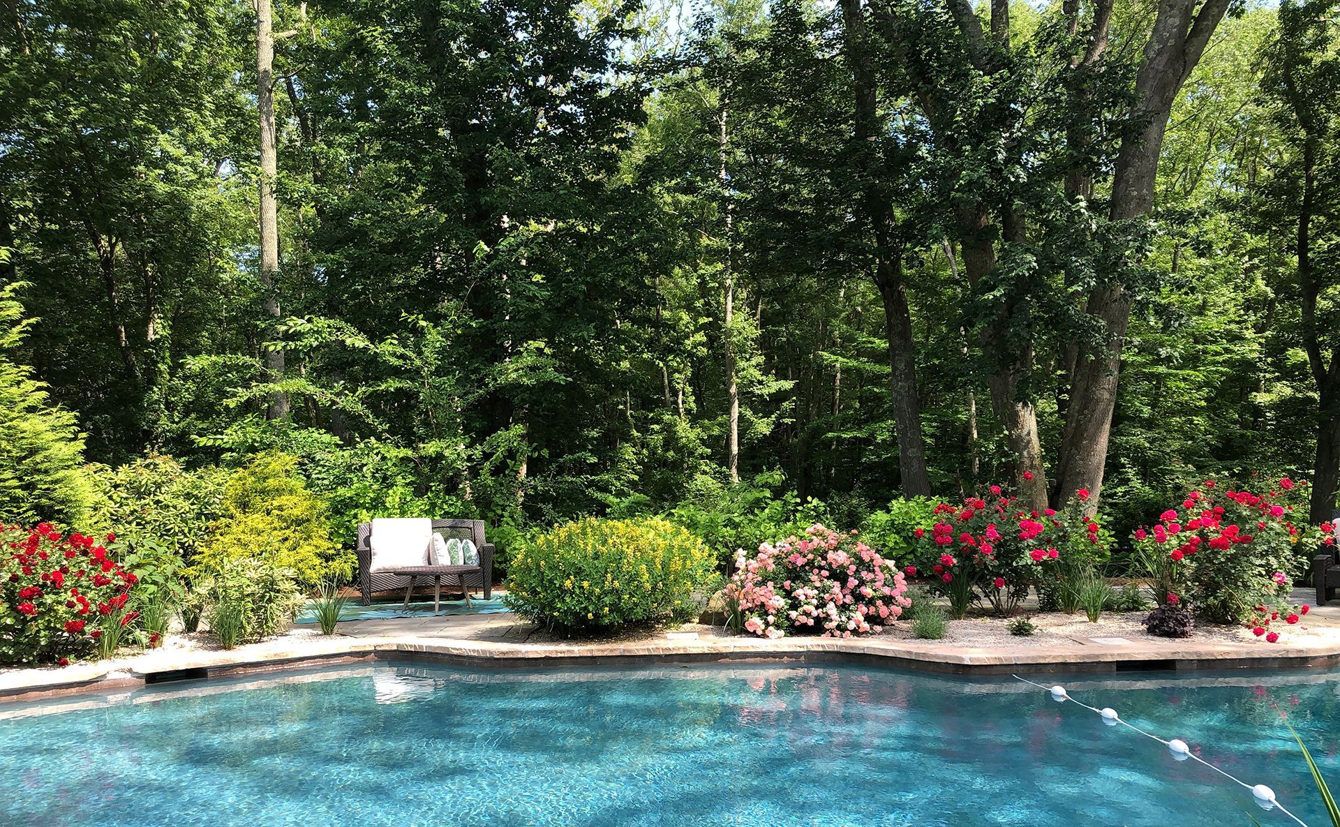 A large swimming pool surrounded by trees and flowers in a backyard.