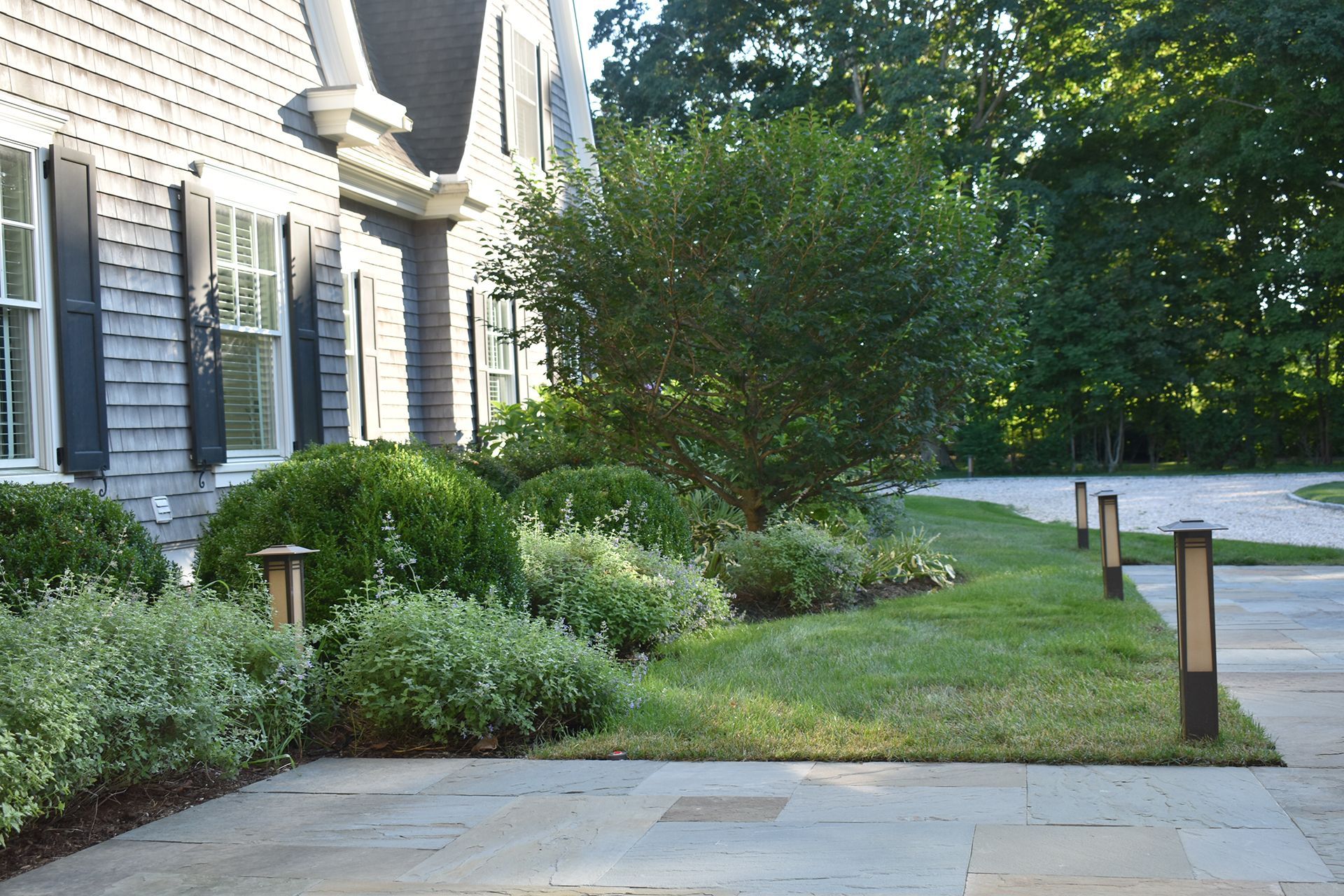A driveway leading to a house with a lot of trees and bushes