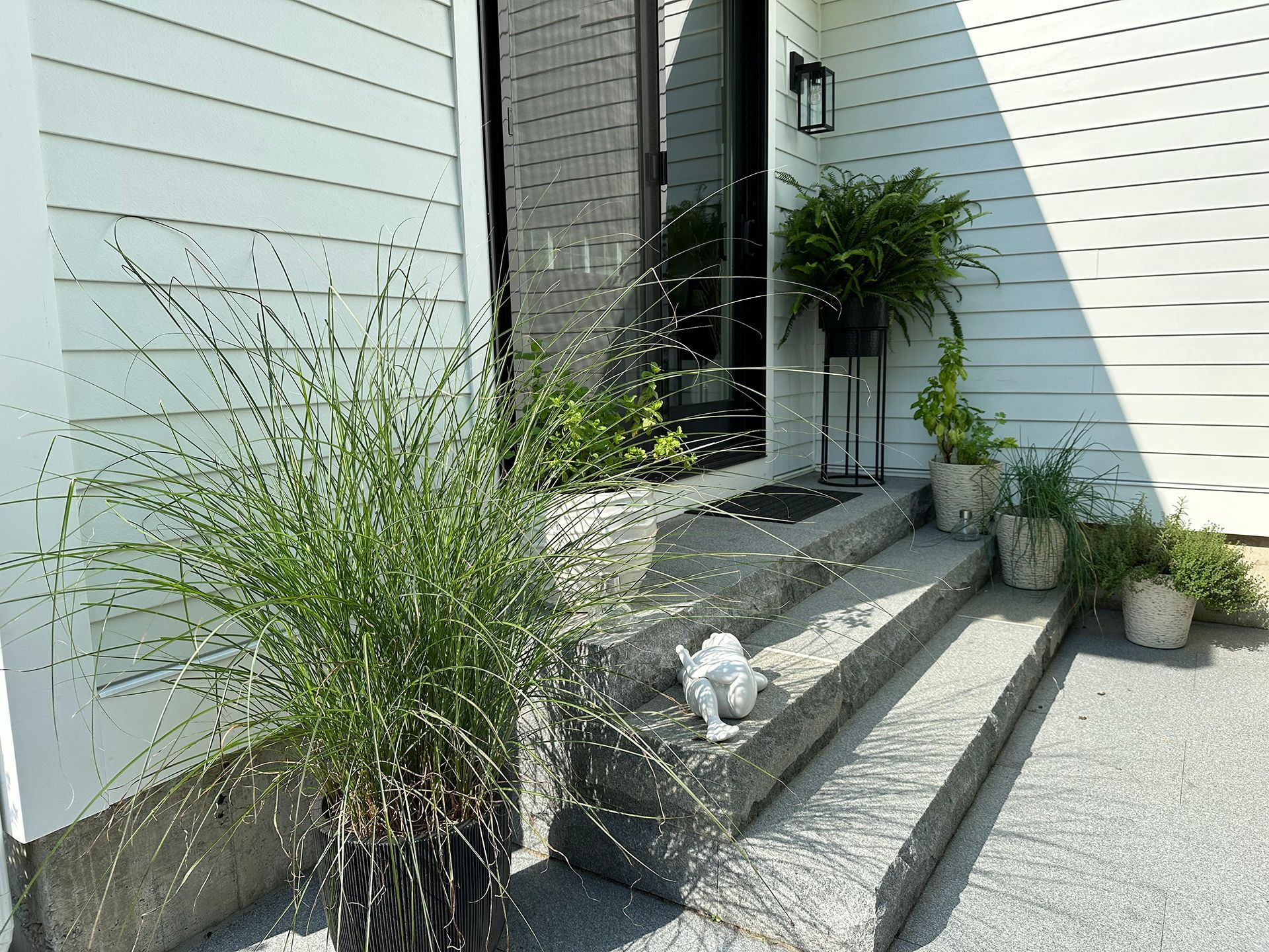 A white house with steps and potted plants in front of it.