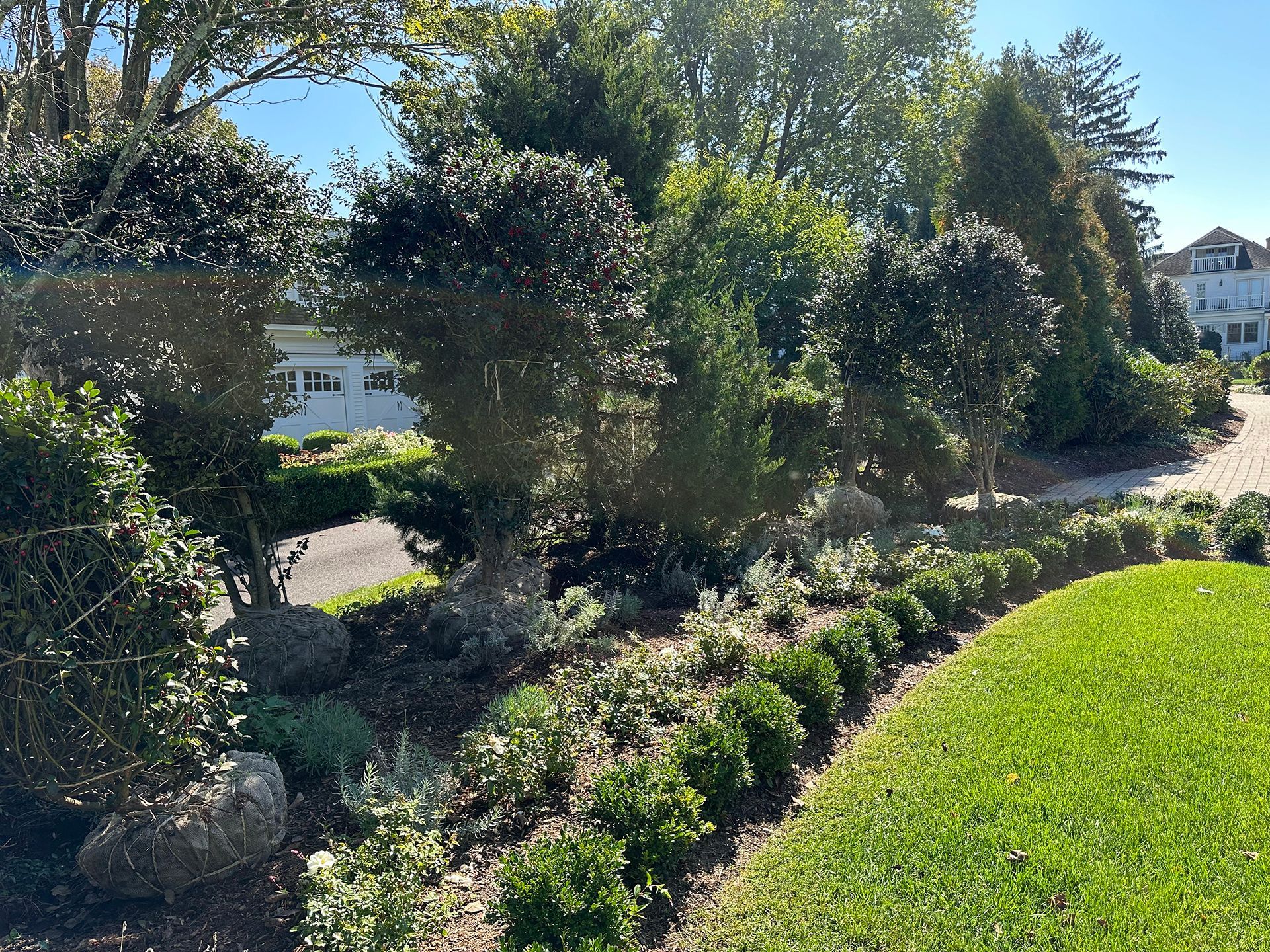 A lush green garden with trees and bushes in front of a house.