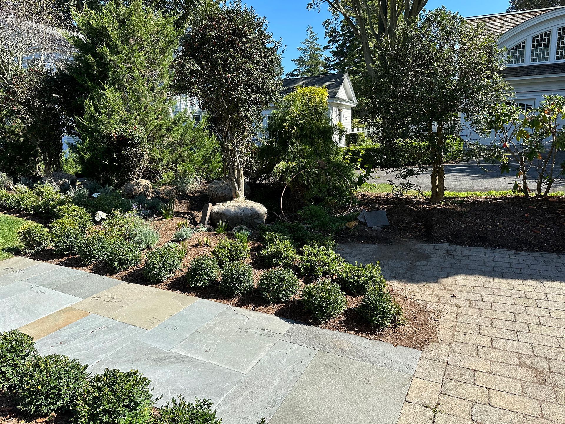 A brick walkway leading to a house surrounded by trees and bushes.