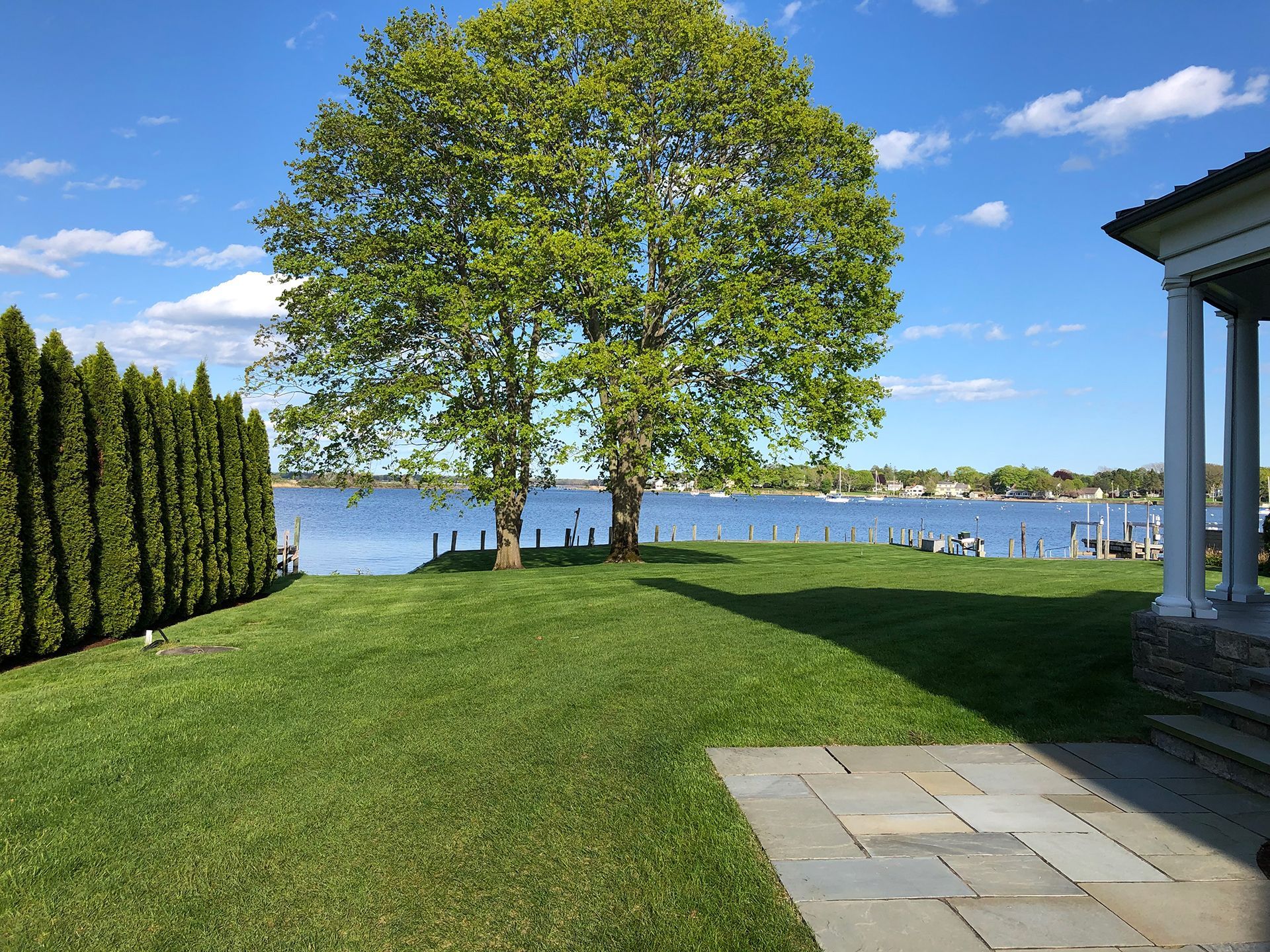 A large tree in the middle of a lush green lawn overlooking a body of water.