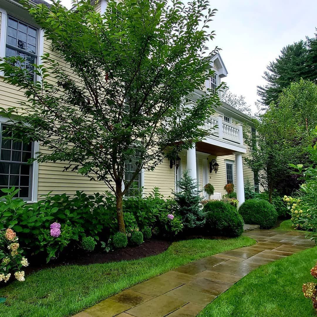 A large house with a walkway leading to the front door surrounded by trees and bushes